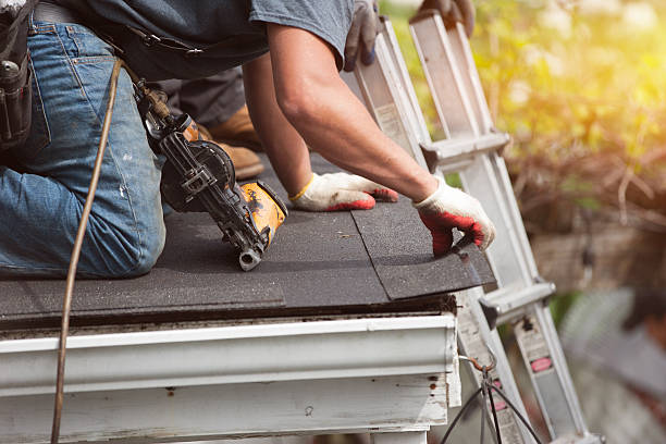 Best Roof Repair Services  in Hamilton, GA